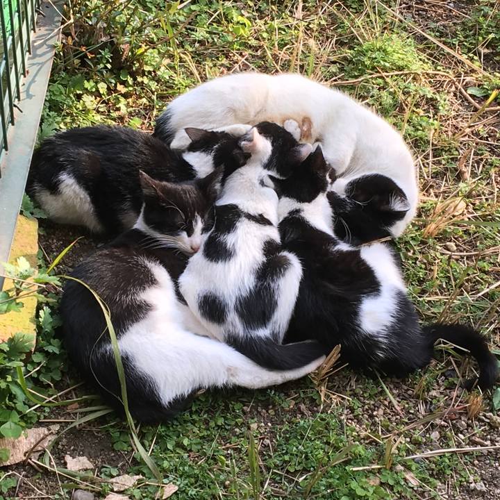 9b73f491 3239 4844 9f75 811fa5cacb3a