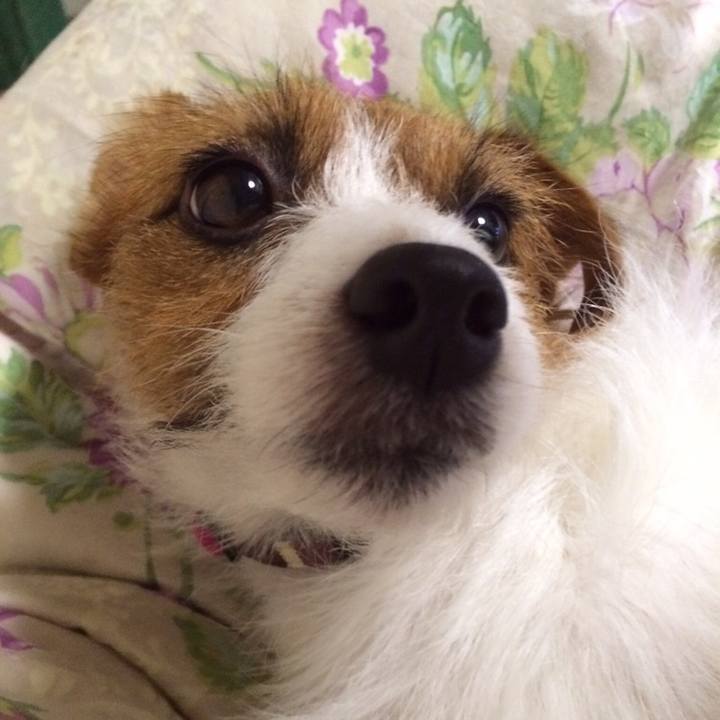 9b74aab5 57b0 4848 a2d9 ca88368723ac