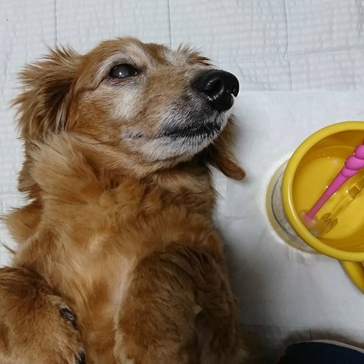 9b74f2f1 cab4 4c5d 8cba 1976bb2d80a0