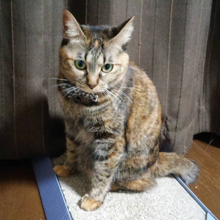 9b75c98d a007 4f37 bad7 5c8ed5f7ee2a