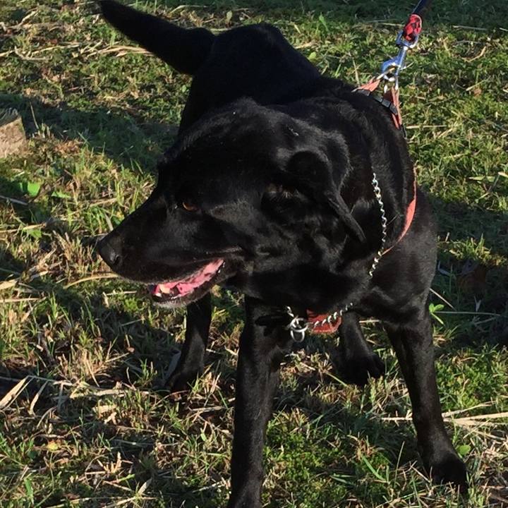 9b7617b5 8284 4fe6 9767 4c61df0d75a4