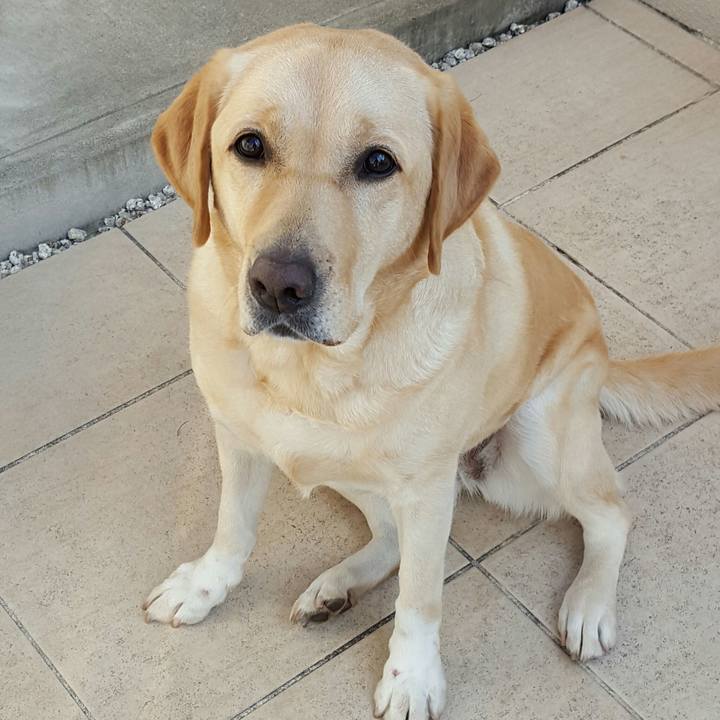 9b76a2a9 484d 460b ba86 d5f1b2e8f90f