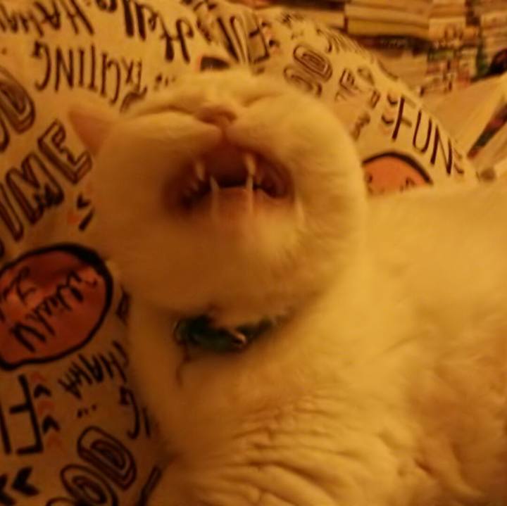 9b777576 ced5 472f ac92 d50fd0ef6ae0