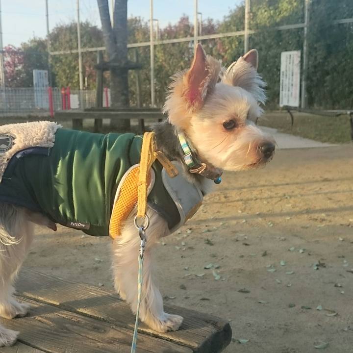 9b7799be 1330 4f51 b18e ee355b8211f6