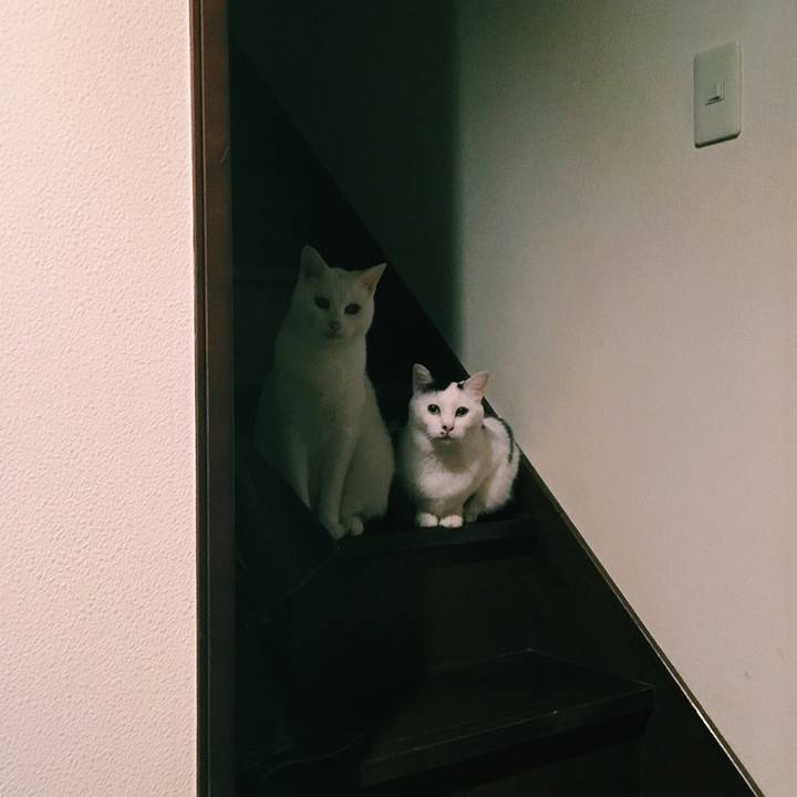 9b77ee4e 8f49 4662 a2d3 278f2c19ead1