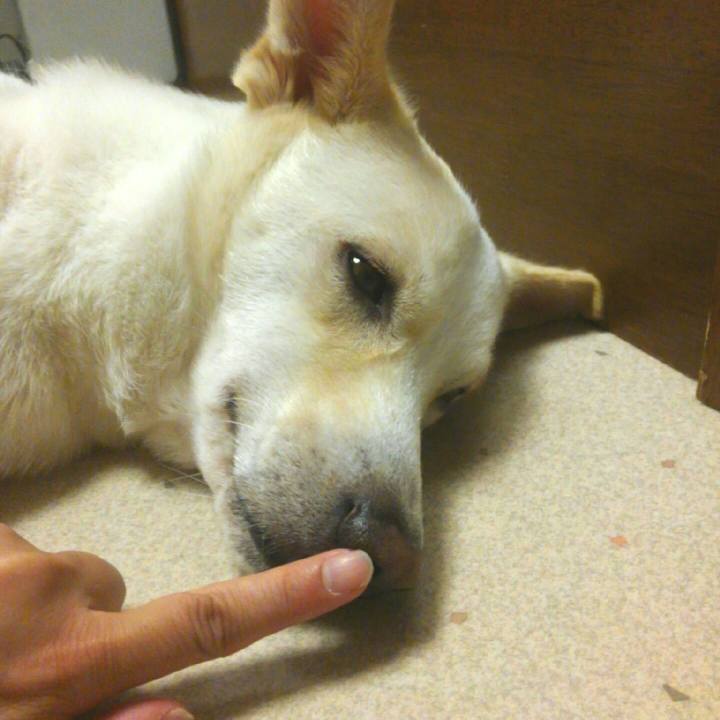 9b780a54 2900 4148 9583 c30792868d2c