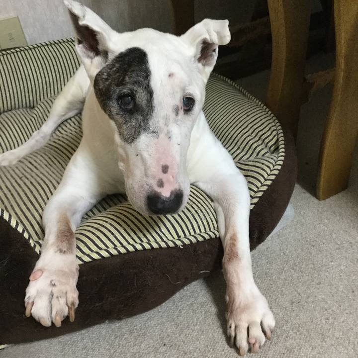 9b7850f7 cb5f 4150 a3b1 8968ffd395a6