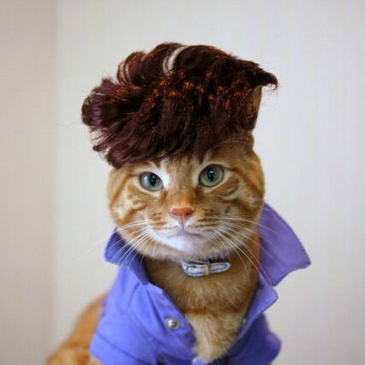 9b785930 9eb6 47a9 a5b8 e525d4753a63