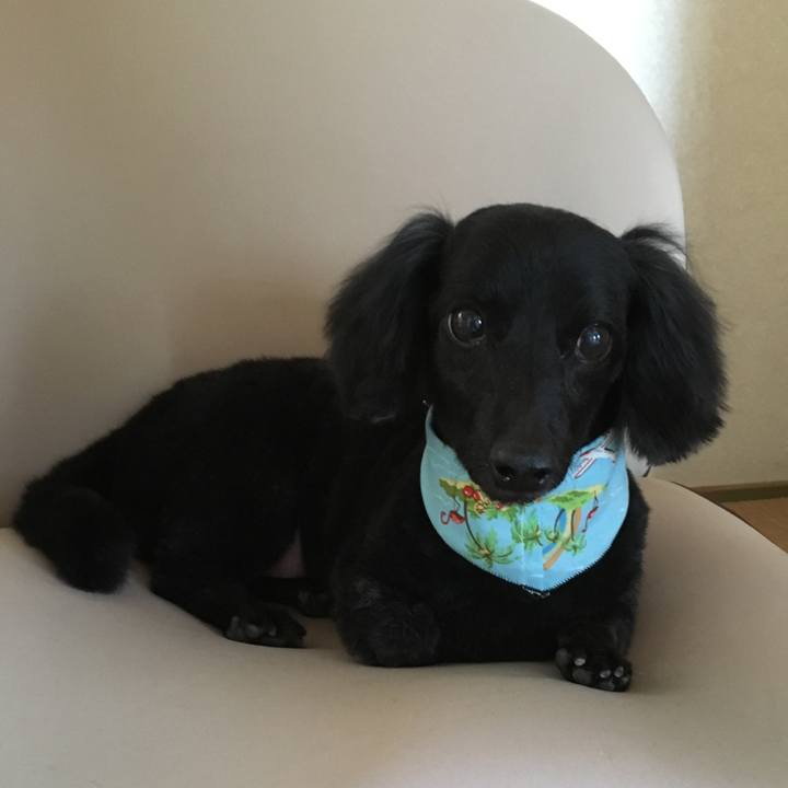 9b78c7d8 49ee 4f34 b3b1 5d0a18bc43f9