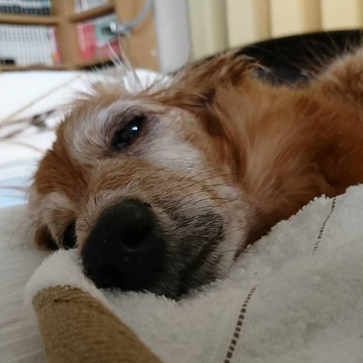 9b79e9d4 8cde 4734 9860 244ef3d396dc