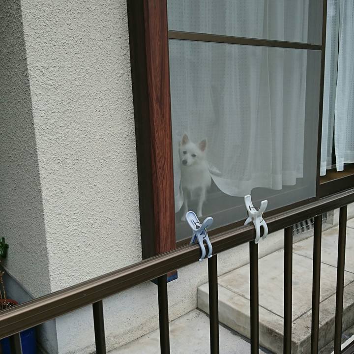 9b7a030d 6900 435f 94f2 e450eb93ad8e