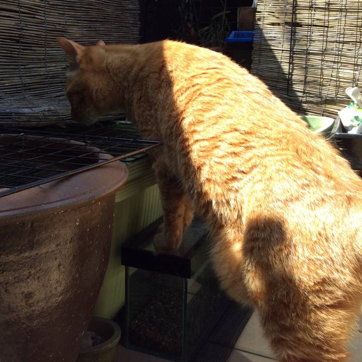 9b7a4cd5 c917 40cf 8ed3 455fbf347c7d