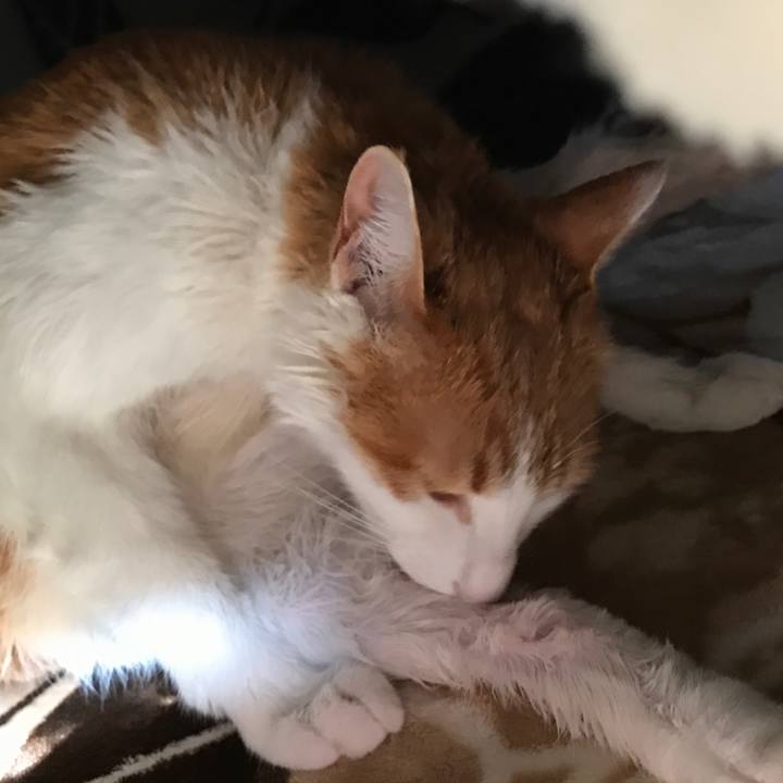 9b7a6469 4d3c 4dd6 9a2e bb1e8258e419