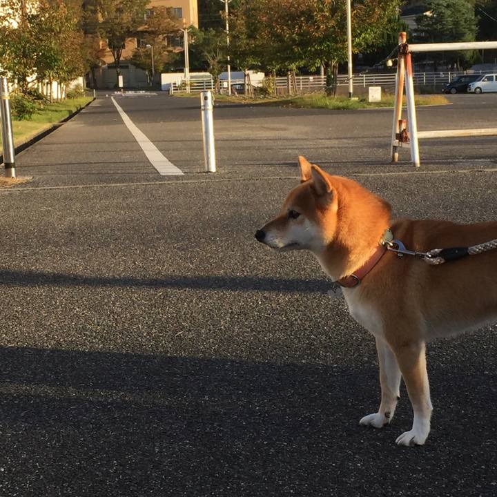 9b7aae0f b355 4876 8d57 d5d3f8ad64e6