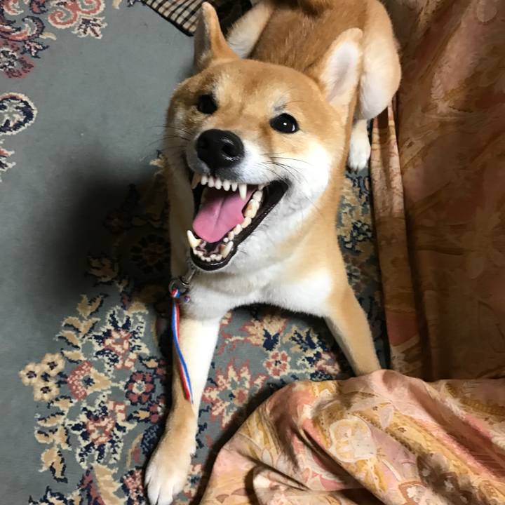 9b7c6f22 f60d 408e ab09 0781572fa210