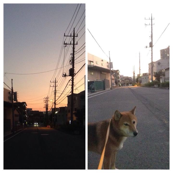 9b7cc8ae 4901 4faf 94d7 cb466ecb3d48