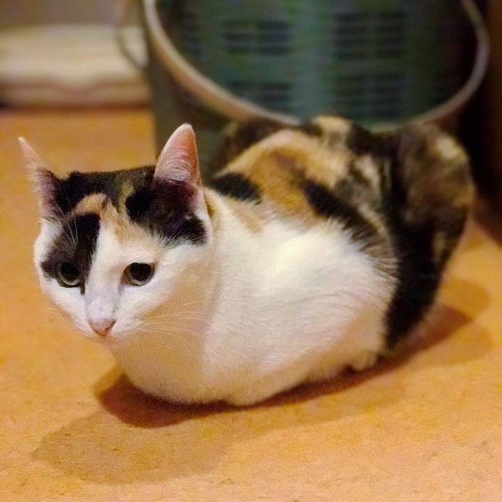 9b7cdf94 b6c9 4347 8b23 f96b05a14878