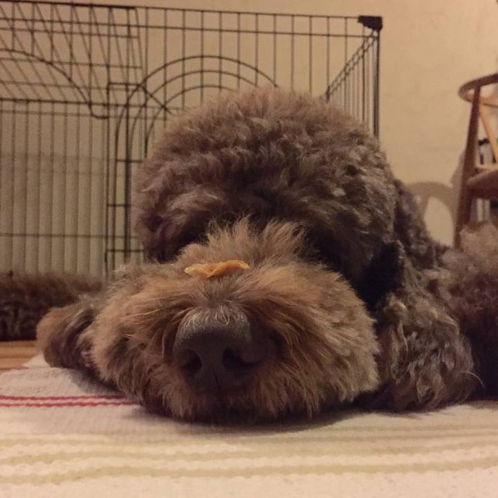 9b7da514 8363 465c b538 81f80abe2611