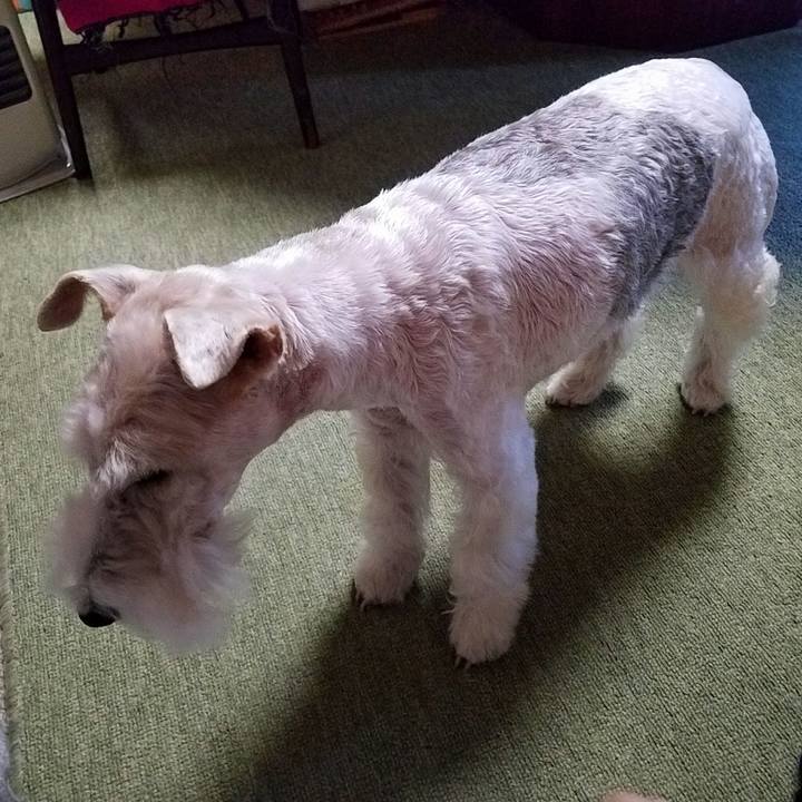 9b7dee36 0eb9 41fd a917 8b010d63484e