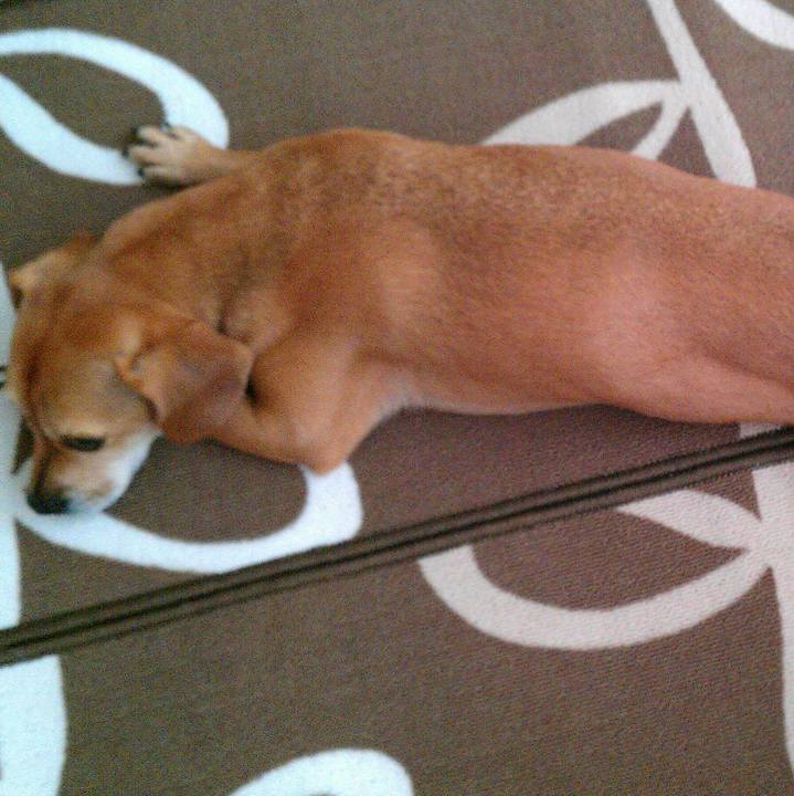 9b7e637e 42c9 470d bfe5 13685c6e53f7