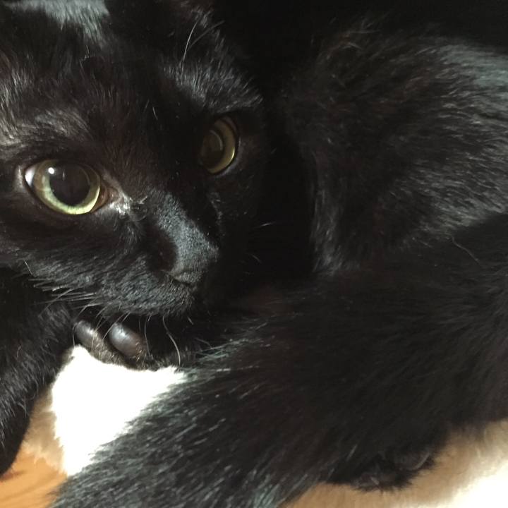 9b7e90fb 139c 43a6 a219 744bb8a0ef49