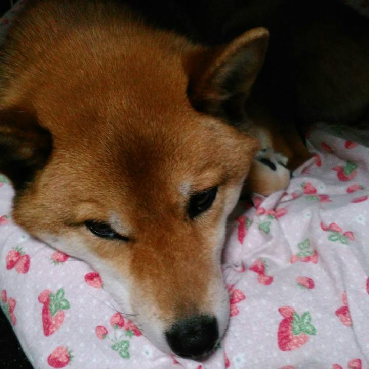 9b7f5312 b2fb 4992 b125 562a1f44c4a0