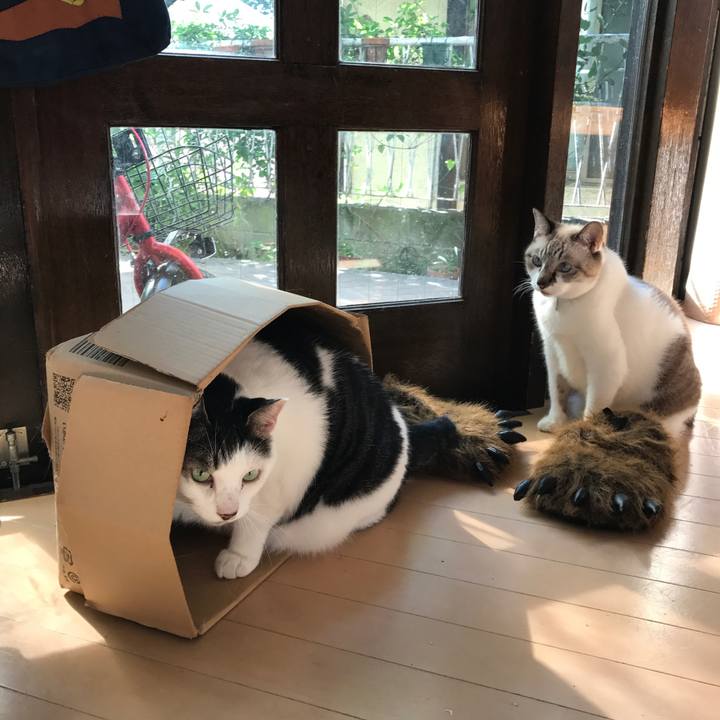 9b7f5e82 425d 485d 83ad edcc9c289ad5