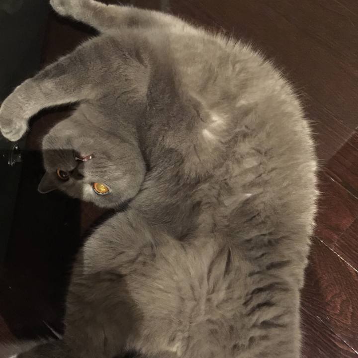 9b801f43 cd12 4ea2 ad3e 1d57adc43174