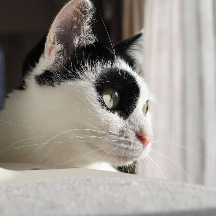 9b806d45 0c73 4247 95a3 5091d112b0ab