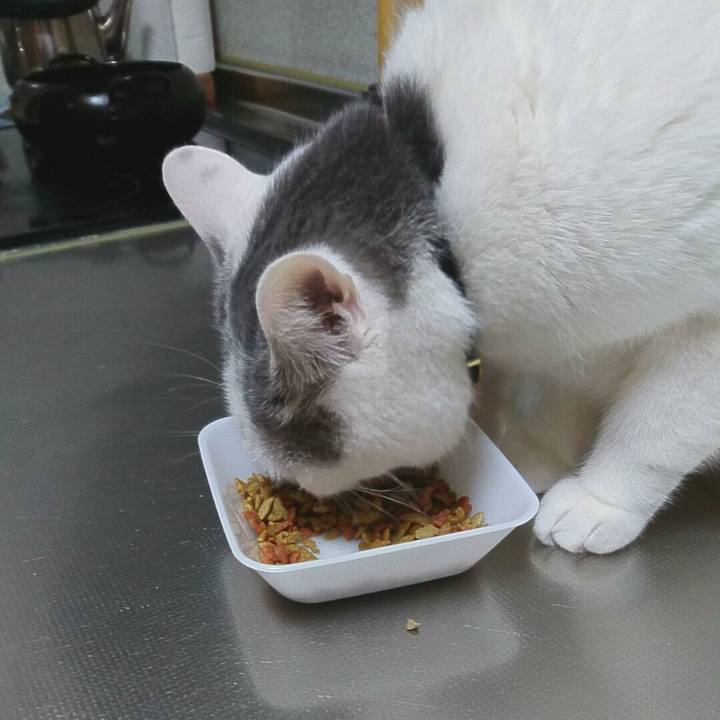 9b8092f3 0c74 4d6a b7ea fb1116066ead