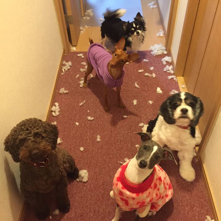 9b812082 a1a6 43a5 9724 5c301f4b2089