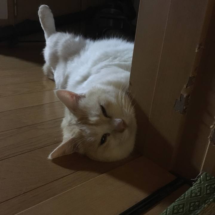 9b81aa12 1ec2 49b4 ab0c 1fb875009050