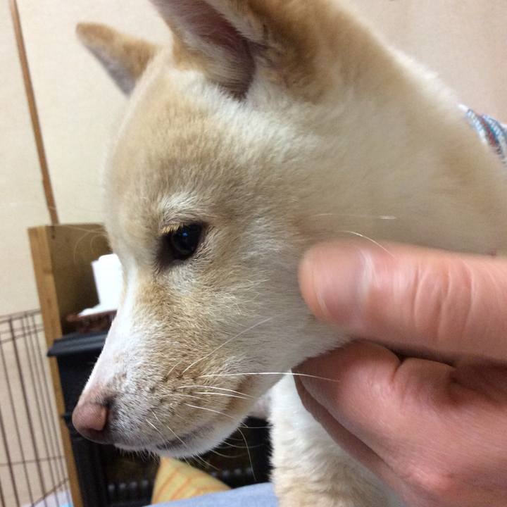 9b82a907 ca77 48d7 9ab0 c0b20d92728d