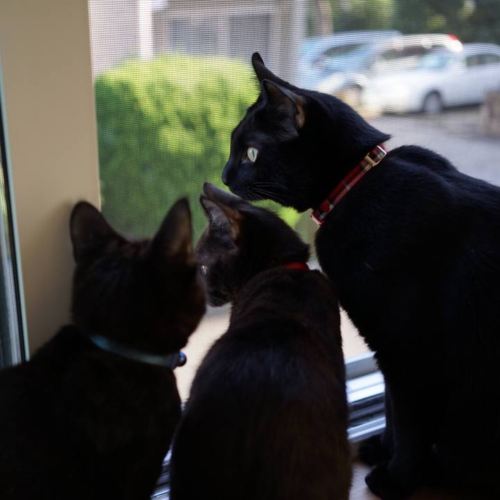 9b8331c4 8848 4ffc 897f 343a737062e8