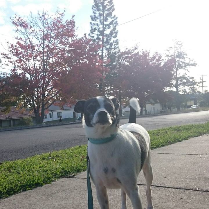 9b835f40 0944 44a5 9560 d7abf74ac2f4