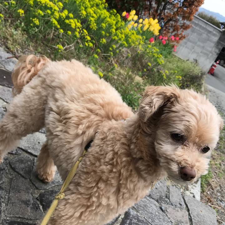 9b839294 66e3 40d9 9211 61ffc6969a1a