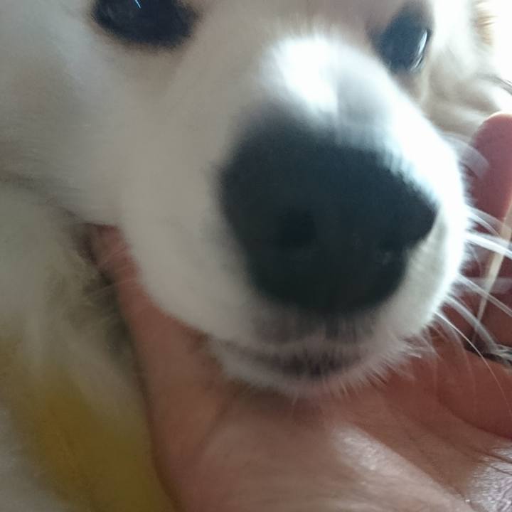 9b83a09c 1360 4d8b b85e f7b00fbd728a