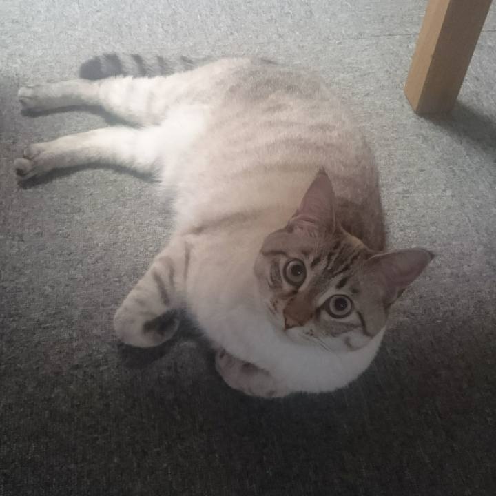 9b840283 6589 47db 8eb9 31378dcb96f1