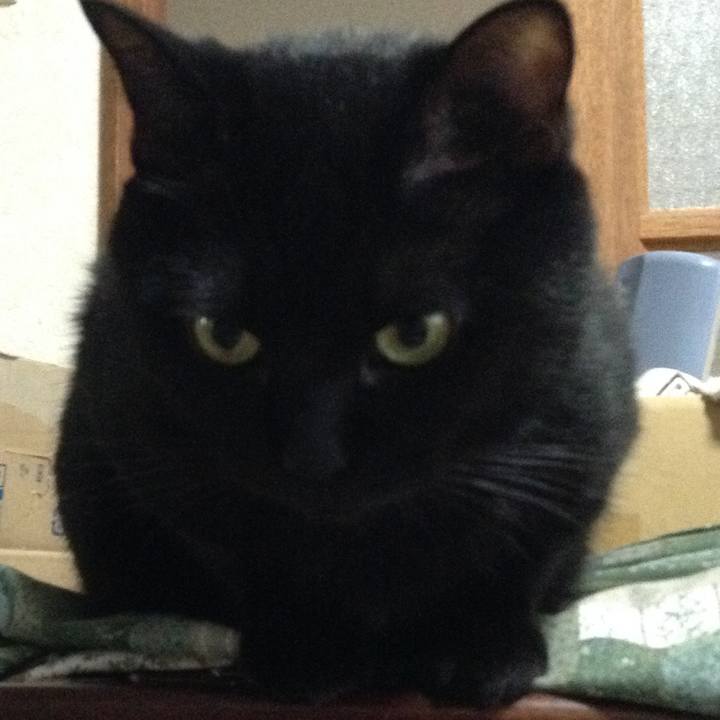 9b8457bc 6301 473c 8452 e24a9e4da0dd