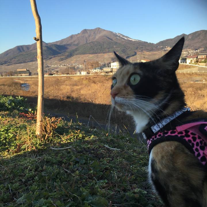 9b84620a ee08 4bf1 a9d7 dff6e2dd7b23