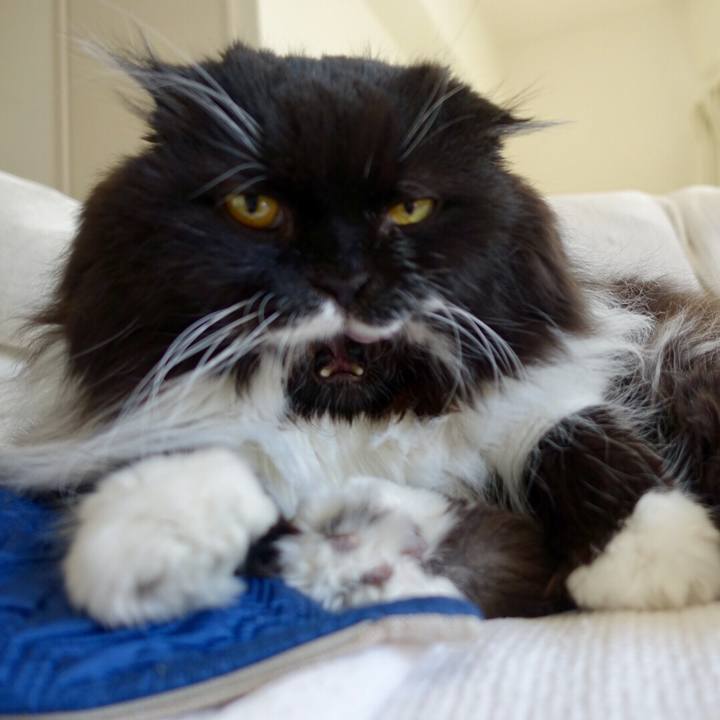 9b847aaa d542 4dd1 a4e5 755b64db5b01