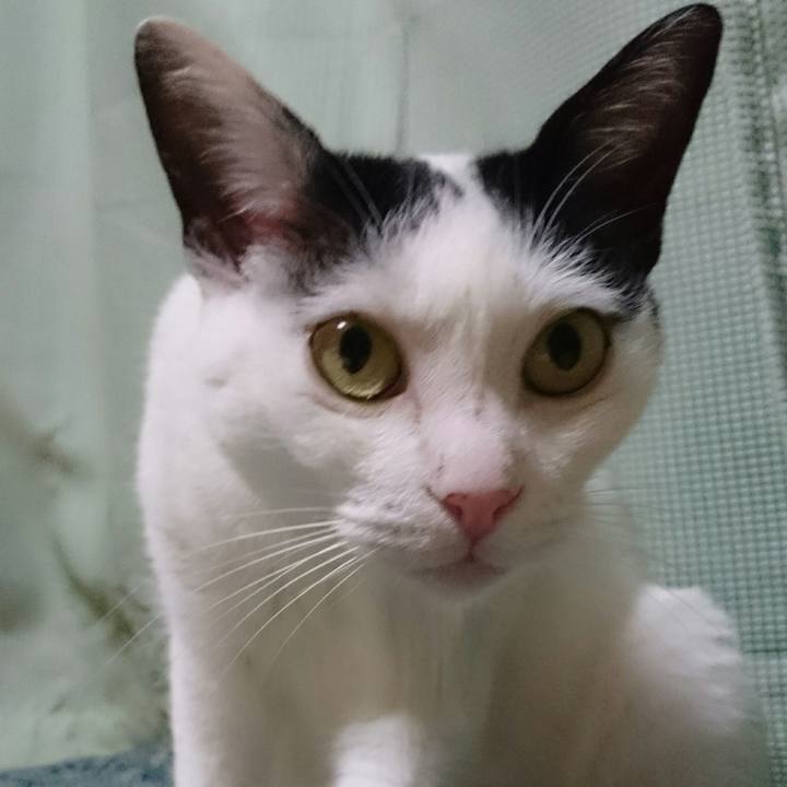 9b84b936 9b10 40b3 aa91 e318164007e3