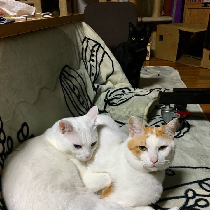 9b84c7bb 85b4 49fc 8acd 8bf3e72dc067