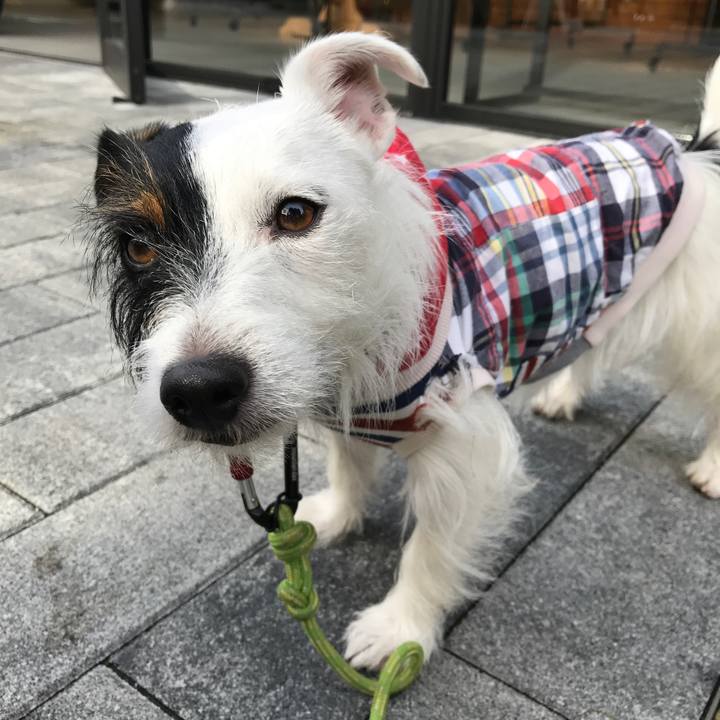 9b854416 d257 4e19 ade3 ceb49cab9c7d