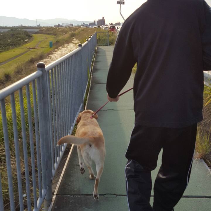 9b85d3bf 1d9c 49d0 a6b2 e02ca5a44fbe