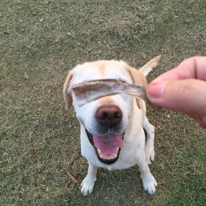 9b8649d0 85d6 414a 9682 e2b82db7f2d5