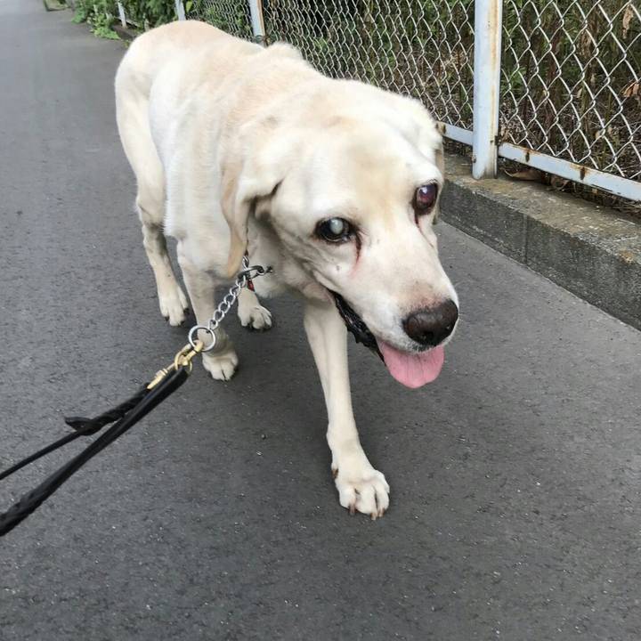 9b86de05 e251 4511 8fa0 73077f88969d