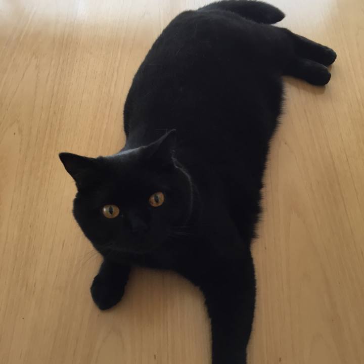 9b8716af 9e20 4922 a441 f1ef455086b7