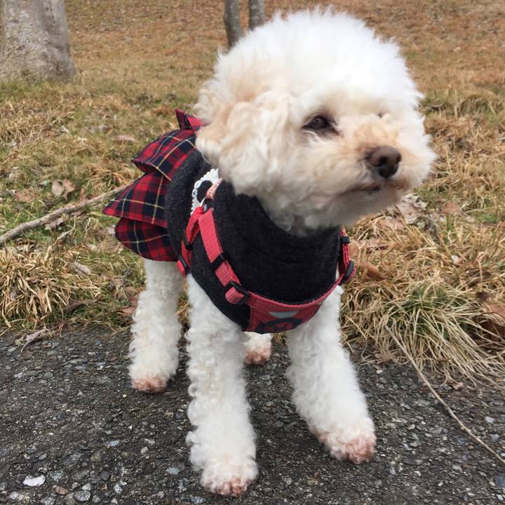 9b87b408 f29c 42b1 bd07 bf97935aa843