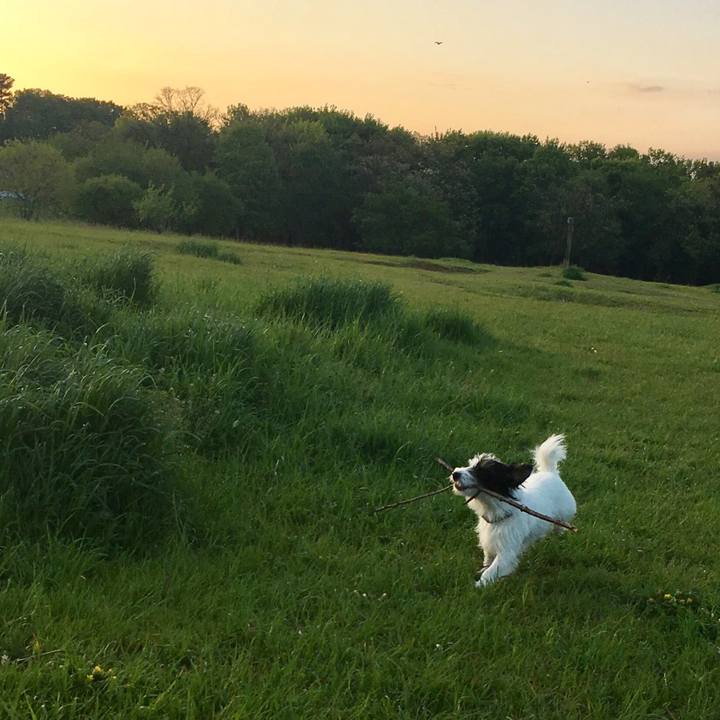 9b87ee7f c1c5 45c9 aac8 6c211ba184f5